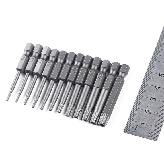 HEALEEP 12 Pcs Bit Set Chrome Vanadium Alloy Steel Screw Driver Bits for Diy Enthusiasts