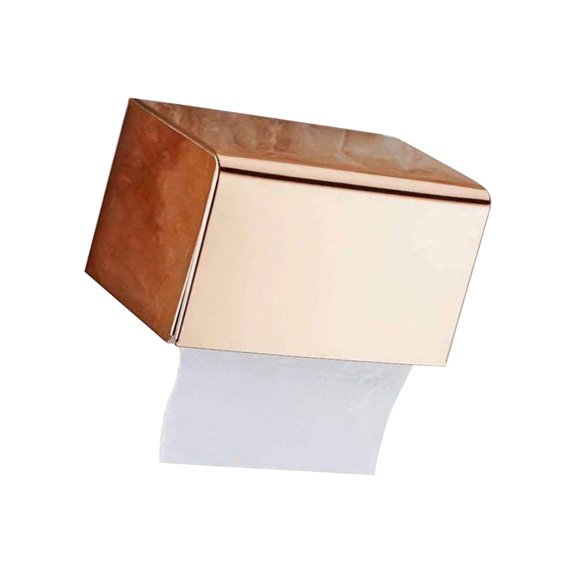 HEALEEP 1Pack Modern Toilet Paper Holder Stainless Steel Tissue Storage Mobile Phone Shelf 23X13.5X13Cm