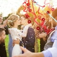 thumbnail image 1 of HEALEEP 6Pcs Hand Throw Confetti Streamers Paper Long Atmosphere Creation Wedding Decorations, 1 of 8