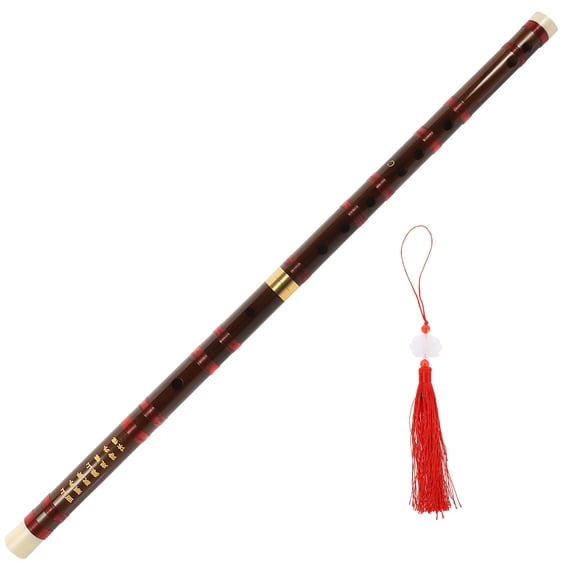 HEANUJJ Beginner Flute Set with Replaceable Diaphragms, Lightweight Design, Easy to Play, Perfect for New and Aspiring Flutists