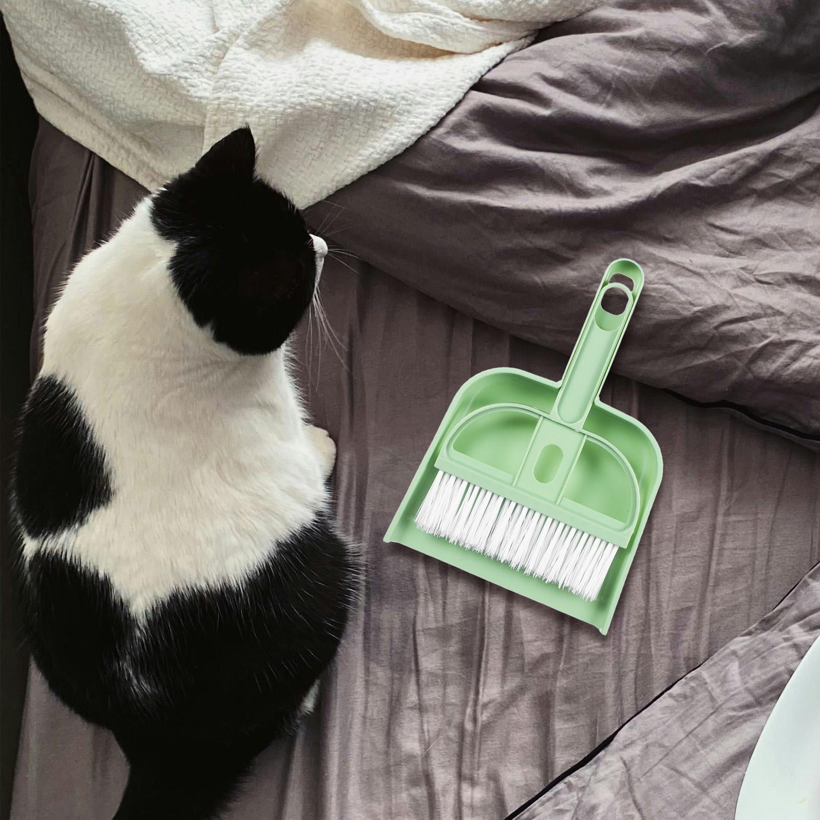 Curated visual reference: Heanujj 1Set Lightweight Handheld Broom And Dustpan Set For Dog Photo Inspiration