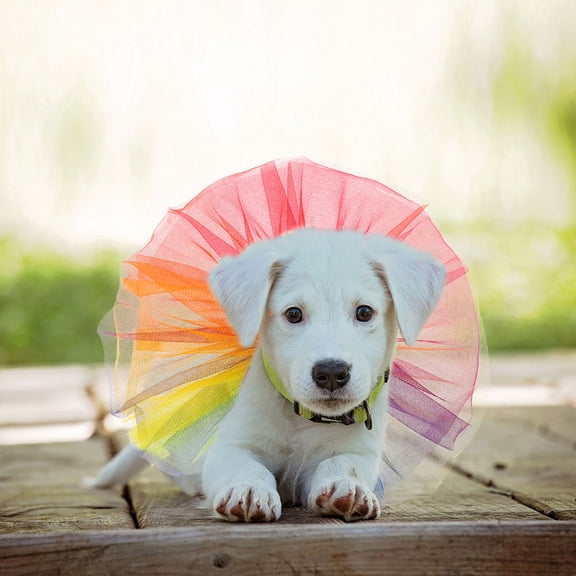 HEANUJJ 2Pcs Assorted Color Dog Tutu Dress with Shimmering Fabric for Pet Birthday and Holiday Events