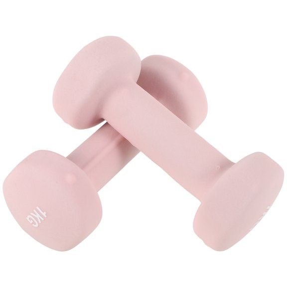 HEANUJJ 2Pcs Pink Cast Iron Hand Weights for Exercise with Sweat Resistant Vinyl Grip