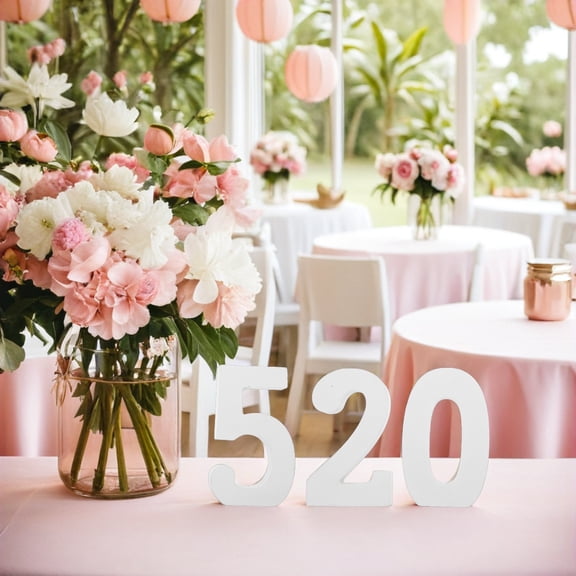 HEANUJJ 3Pcs White Unfinished Wood Number Slices for Rustic Wedding Party and Home Decor