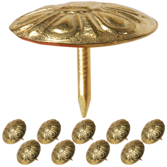 HEANUJJ 50pcs Vintage Iron Decorative Nails for Home Decor, Rustic Craft Supplies and Projects