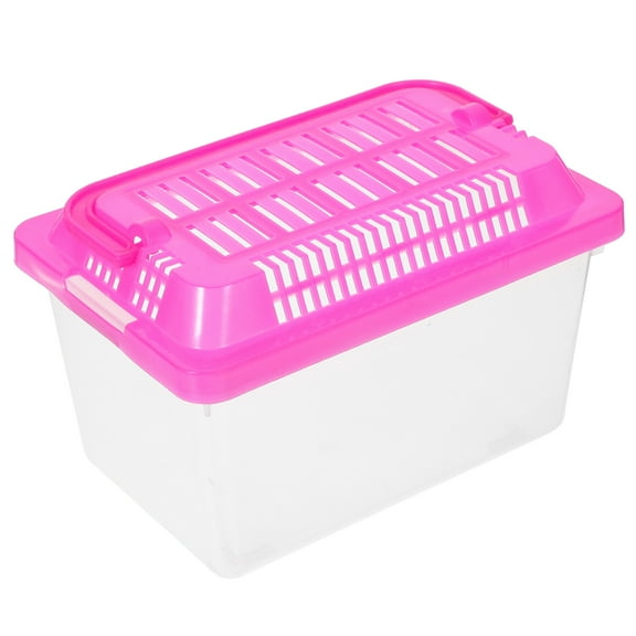 HEANUJJ Turtle Box with Handle for Easy Cleaning and Gifting 1Pack