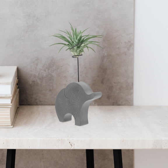 HEANUJJ Black Cement Air Plant Holder with Artistic Flair for Desktop Display