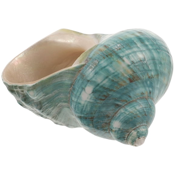 HEANUJJ Nautical Fish Tank Ornament Conch Shell Dark Green 1Pcs