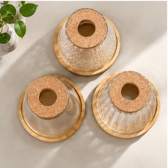 HEANUJJ Glass Hydroponic Planter with Cork Lid and Tray for Indoor Plant Propagation