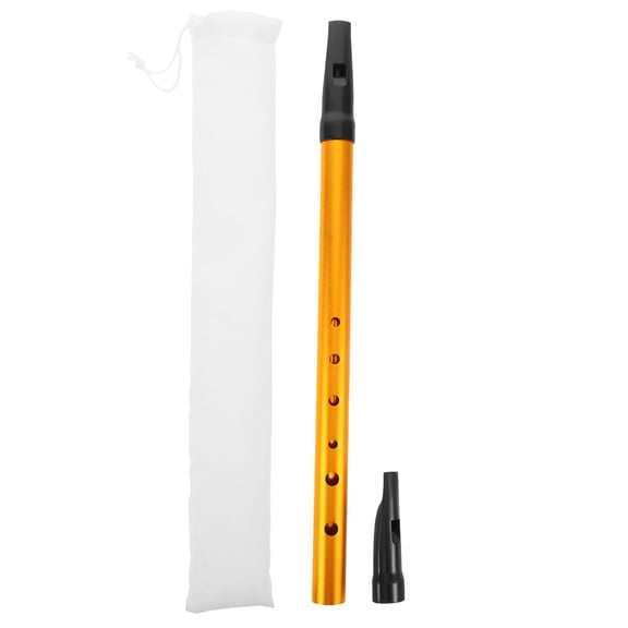 HEANUJJ Irish Tin Whistle Beginner Friendly 6 Hole Key Whistle Vertical Flute Golden