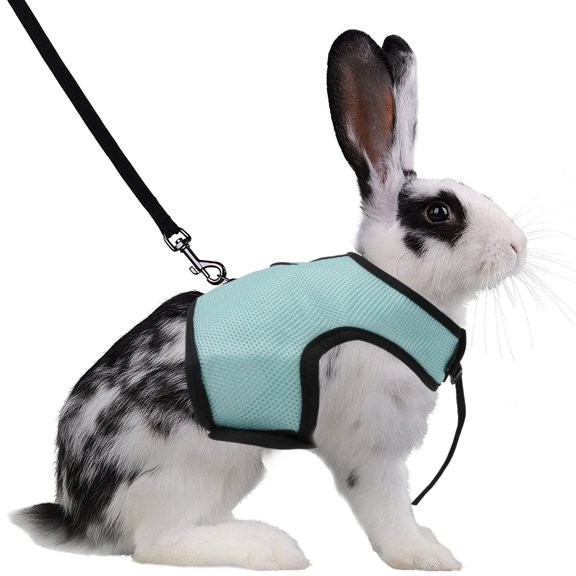 HEANUJJ Pet Traction Rope with Elastic Leash for Rabbits Outdoor Use 1Set