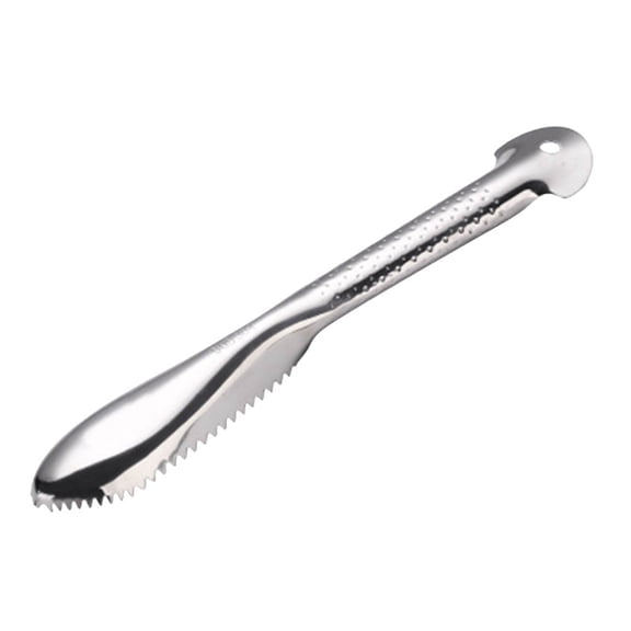 HEANUJJ Lightweight Fish Scale Remover with Hanging Hole for Convenient Storage and Effective Fish Cleaning Tool