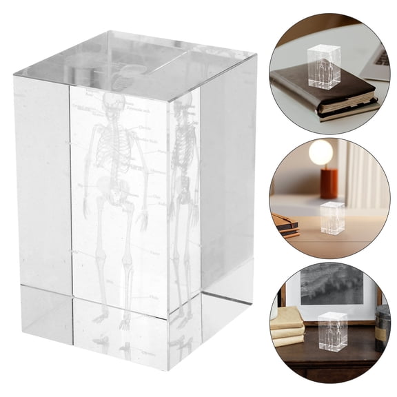 HEANUJJ 3D Crystal Human Anatomy Model in Glass Cube with Intricate Engraving for Scientific Decoration