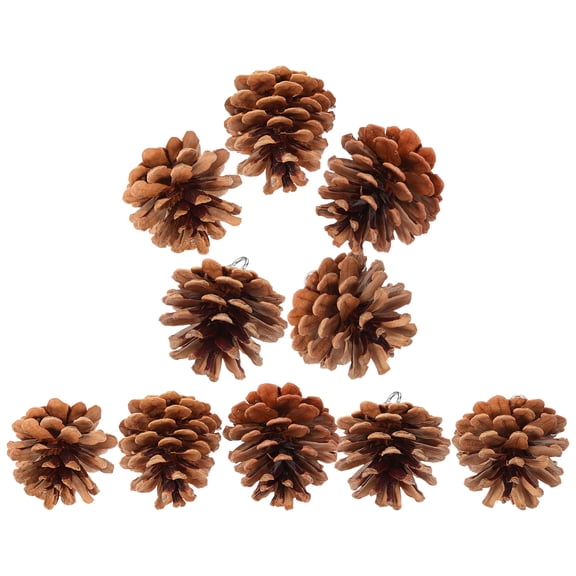 HEANUJJ 10pcs Bird Chew Toy Parrot Natural Texture for Beak Trimming Fun