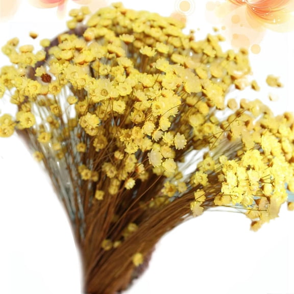 HEATSHAKING 100Pcs Handcrafted Small Star Flower Natural Dried Flowers Yellow
