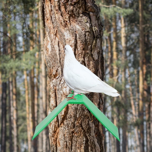 HEATSHAKING 10Pcs Pigeon Loft Supplies Green Bird Perch Stand for Pet Care