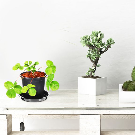 HEATSHAKING 10Pcs Plastic Plant Pot Drainage Trays Black Round Shape Suitable for Various Pot Sizes