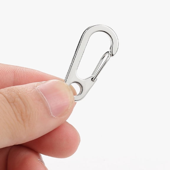 HEATSHAKING 10Pcs Small Metal Buckle D Shaped Carabiners Zinc Alloy for Backpack Buckles