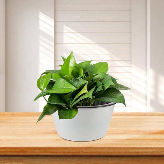 HEATSHAKING Large Bonsai Plant Pot Resin Lightweight Round Planter for Indoor Plants and Palms