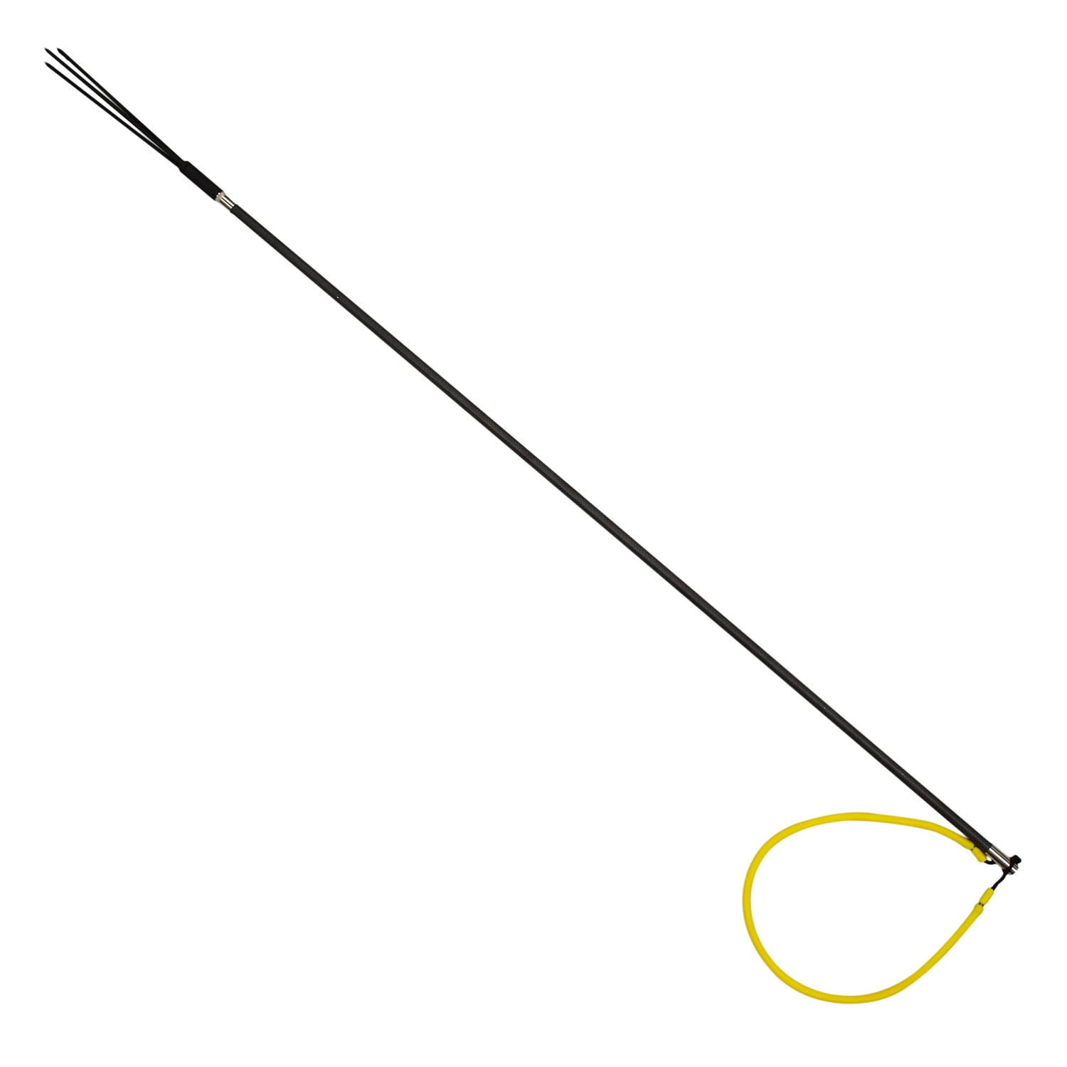 Pole spearfishing 2024