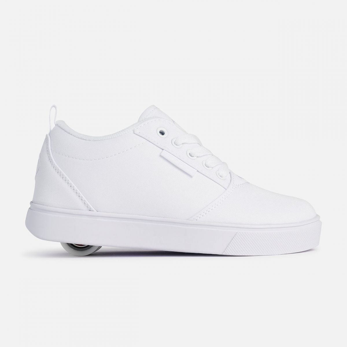 新品 Dalee's Jelico IVORY 17.5 (XL) CBG875902__09715.1708731561.