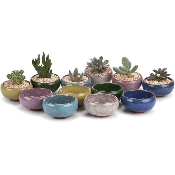 HEFENG 12-Pack Ceramic Succulent Pots with Drainage - 2.5 Inch Ice Crack Glaze Planters for Cactus, Small Flower Pots Set for Home Office Desk Decor, Plant Lover Gifts for Women & Gardeners