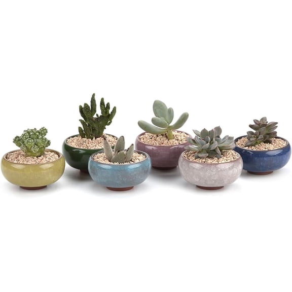 HEFENG 12-Pack Ceramic Succulent Pots with Drainage - 2.5 Inch Ice Crack Glaze Planters for Cactus, Small Flower Pots Set for Home Office Desk Decor, Plant Lover Gifts for Women & Gardeners