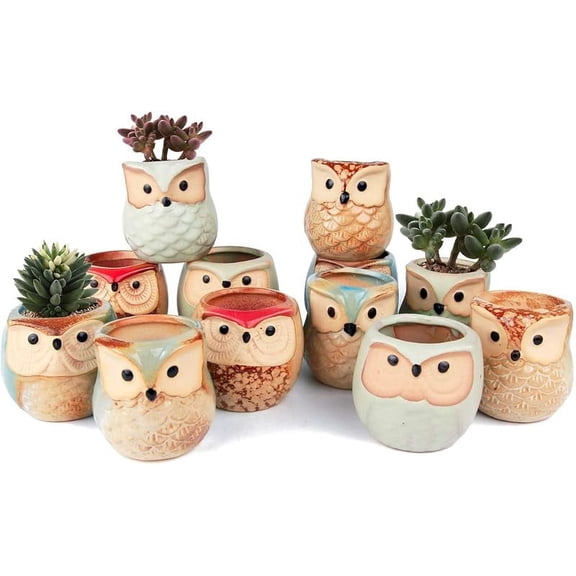 HEFENG 6-Pack Owl Ceramic Planters with Saucers - 2.5 Inch Small Succulent Pots with Drainage Holes, Cute Animal Flower Pots for Home Office Desk Decor, Windowsill Garden Gifts for Plant Lovers (Owl D