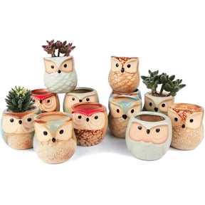 HEFENG 6-Pack Owl Ceramic Planters with Saucers - 2.5 Inch Small Succulent Pots with Drainage Holes, Cute Animal Flower Pots for Home Office Desk Decor, Windowsill Garden Gifts for Plant Lovers (Owl D