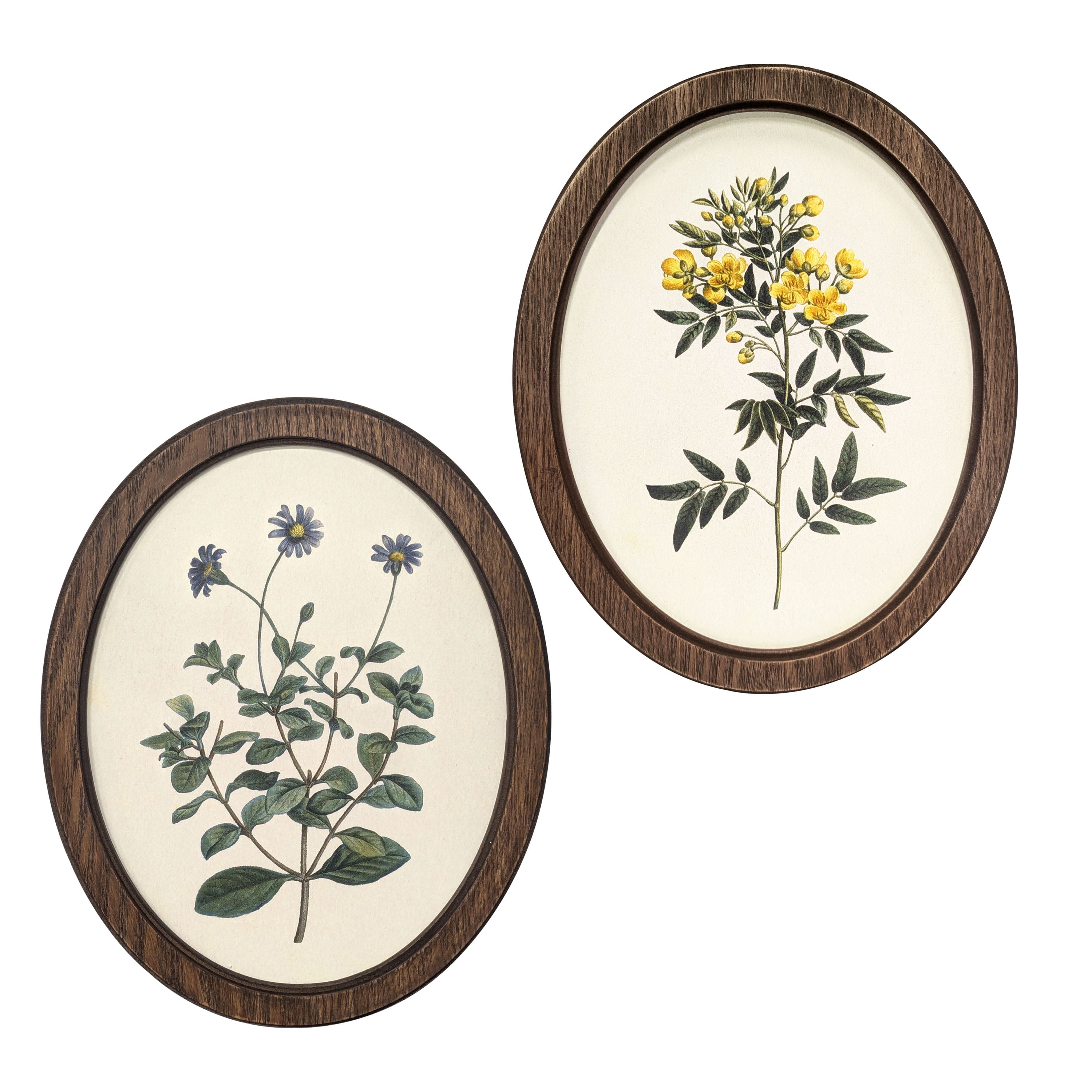 Bradley & Ballard Heirloom Botanical Oval Framed Wall Art Set, 2 Pieces, 8x10 Inches