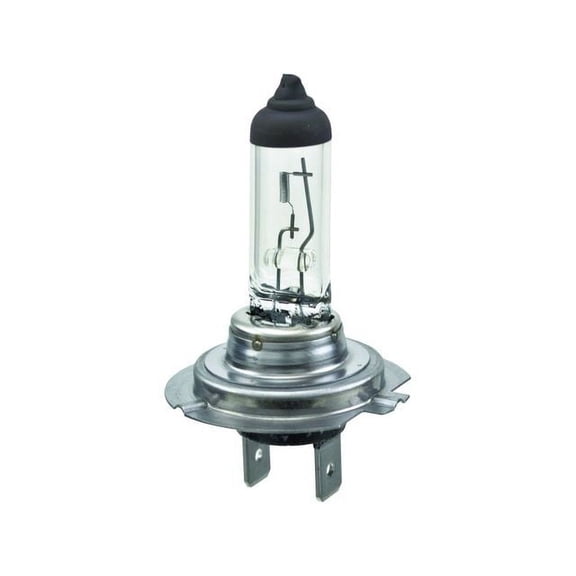 HELLA 12V 55W Clear Halogen Automotive Bulb fits 2009 - 2012 Volkswagen CC