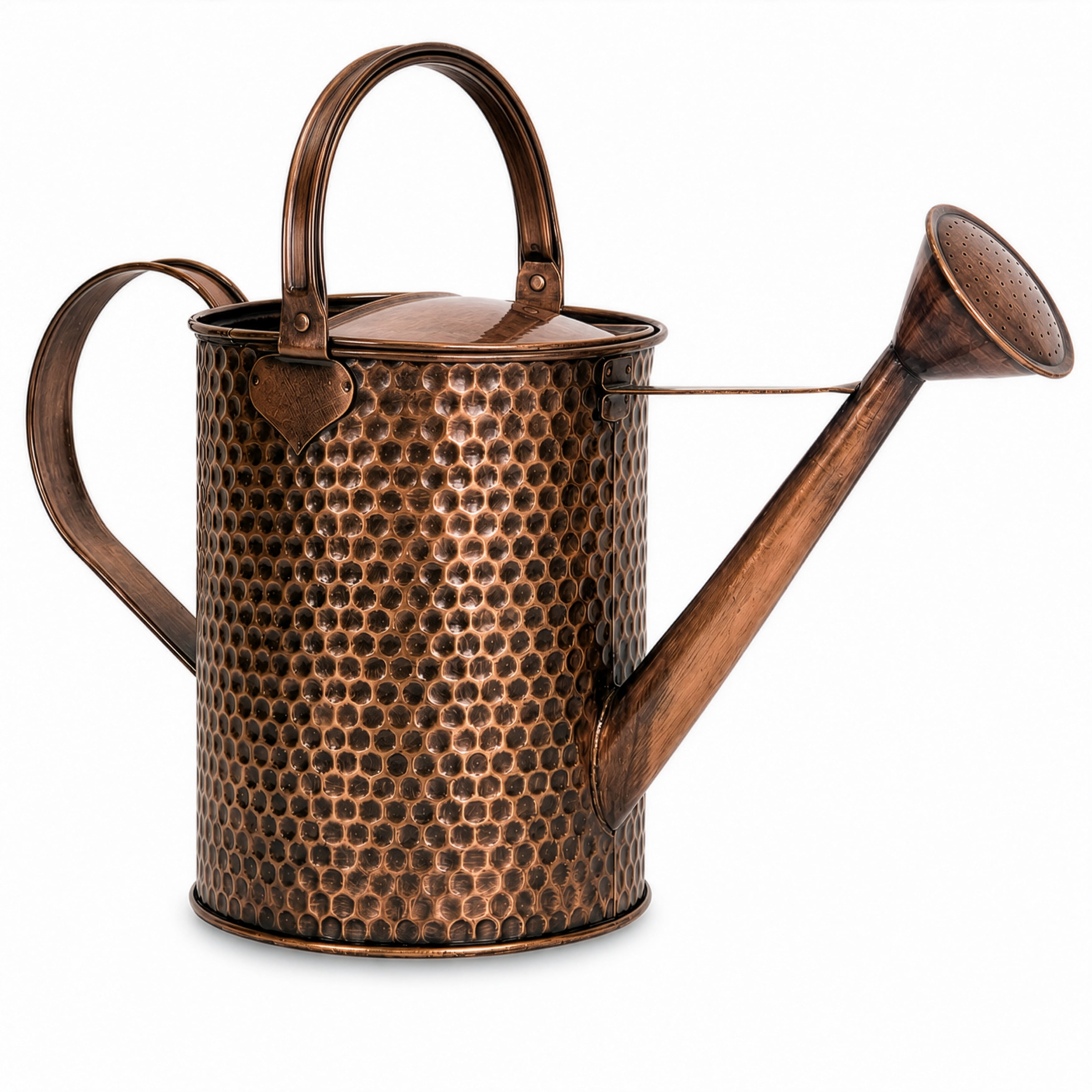 1-Gallon Steel Watering Can with Removable Sprinkler Head Ideal for Indoors & Outdoors, Brown