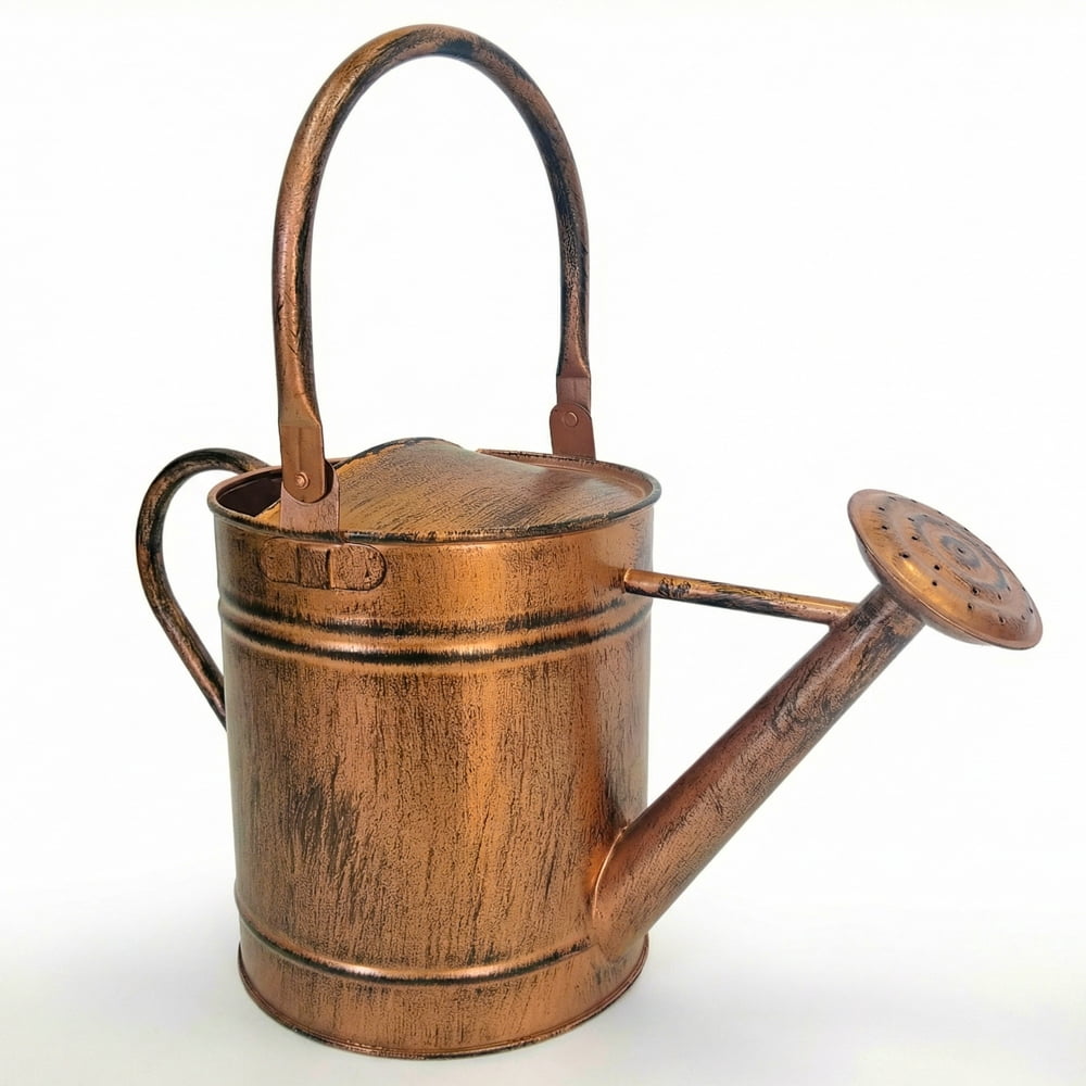 1-Gallon Steel Watering Can with Removable Sprinkler Head Ideal for Indoors & Outdoors, Copper