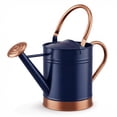 thumbnail image 1 of 1-Gallon Steel Watering Can with Removable Sprinkler Head Ideal for Indoors & Outdoors, Blue, 1 of 5