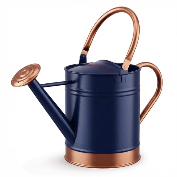 1-Gallon Steel Watering Can with Removable Sprinkler Head Ideal for Indoors & Outdoors, Blue