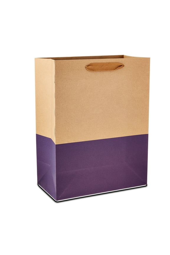 X-Large Kraft Paper Gift Bags with Color Block, 10" x 13", 10 Count, for All Ages