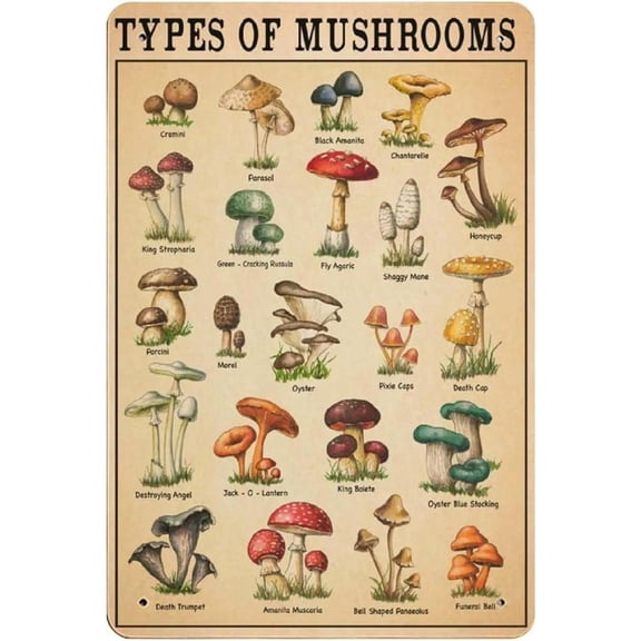 HELLOYOUNG 1pc 2D Flat "Mushrooms Can Grow Out Of , So Can You" Humorous Metal Sign, Vintage Wall Art Decor Suitable For Yard, Home, Cafe, Office, Garden, Room, Holiday Decoration
