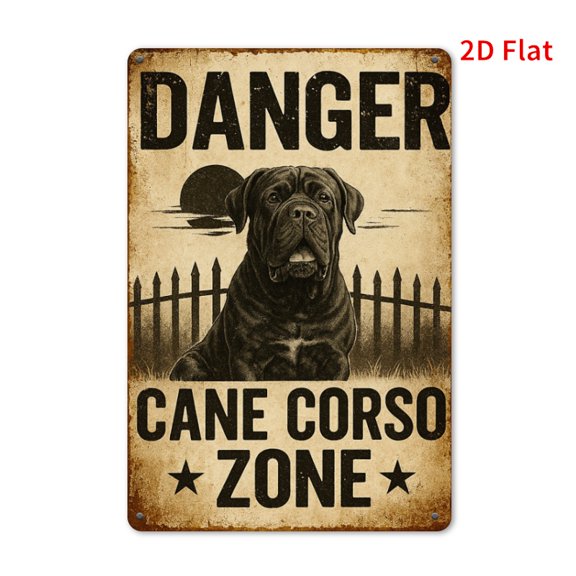 HELLOYOUNG Cassro Danger Sign, 2Dflat 12x8" Metal Warning Plaque Reusable Bar Decor for Home Office Garage Wall