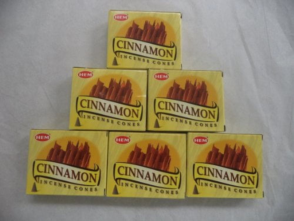 HEM Cinnamon Incense Cones, 6 Packs of 10 Cones = 60 Cones