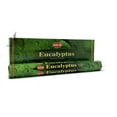 thumbnail image 1 of HEM Eucalyptus Incense Sticks | Box of 6 Tubes, 20 Grams Each, Total 120 grams, 1 of 2