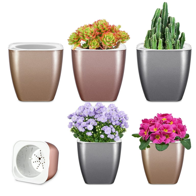 HEMOPLT Pack of 6 Self Watering Planters, 5/6.8 Inch Simulated Metallic  Plant Pots, Thickness of 0.15 Sturdy Flower Pots, Ideal Birthday  (Champagne