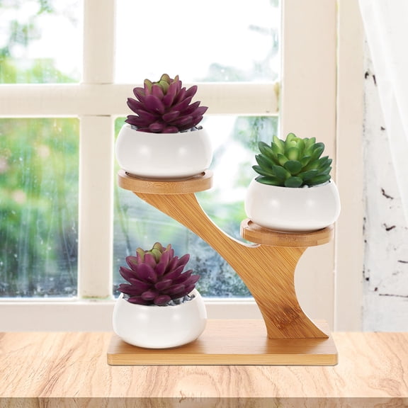ORDDIART Succulent Flower Stand Assorted Color 1Set 7.9X3.7X6.5in