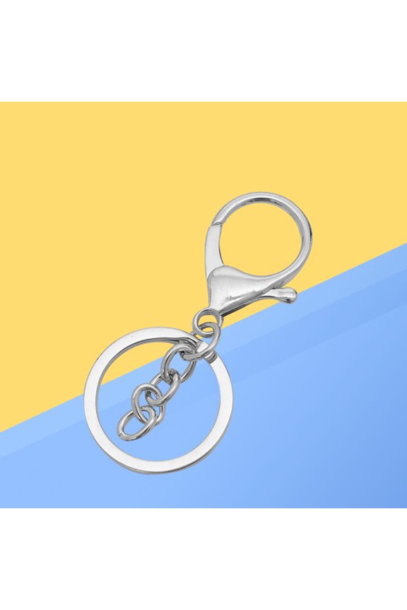 10-Pack Lightweight Keychain with Lobster Buckle, Key for Everyday Use