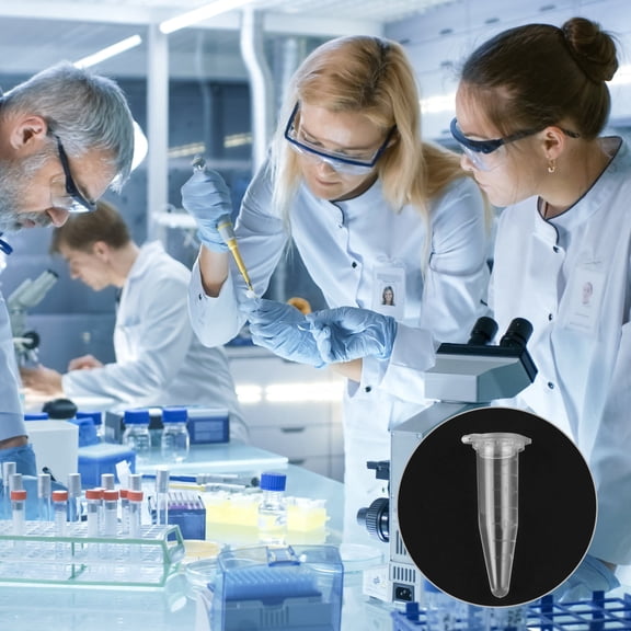 HEMOTON 1000pcs 1.5ML Plastic Test Tube Vial Clear Sample Storage Container