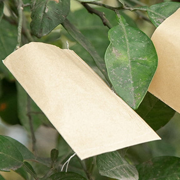 HEMOTON 100pcs Packets Sealing Seeds Envelopes Seeds Container Paper Coins Packets