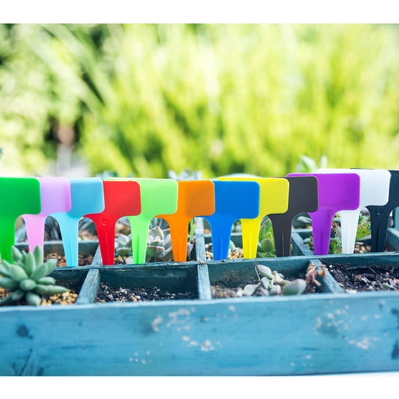 HEMOTON 120 Pcs Plaque Ornaments Plant Label Flower Tag 10X6cm
