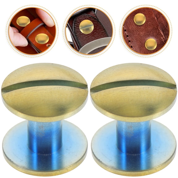 HEMOTON 2 Pcs Binding Barrels and Screws Belt Screw Photo Album Screw 1X1cm Golden