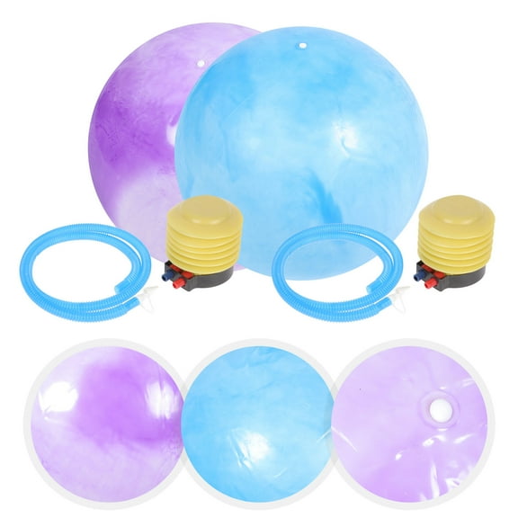 HEMOTON 2 Sets Yoga Ball Fitness Balls Large Bouncy Ball Exercise Training Ball for Woman Pump Included