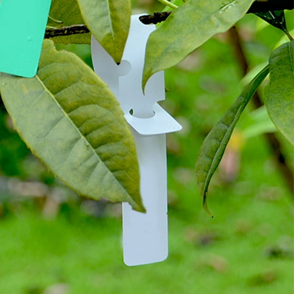 HEMOTON 200pcs Hanging Plant Labels Hanging Plant Tag Tree Identifying Markers Plant Markers for Garden