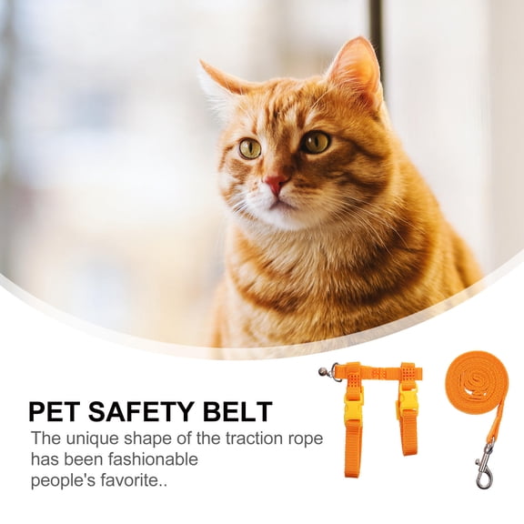 HEMOTON 2Pcs Traction Rope for Small Pets with Safety Outdoors 7.86x7.86x0.39inch